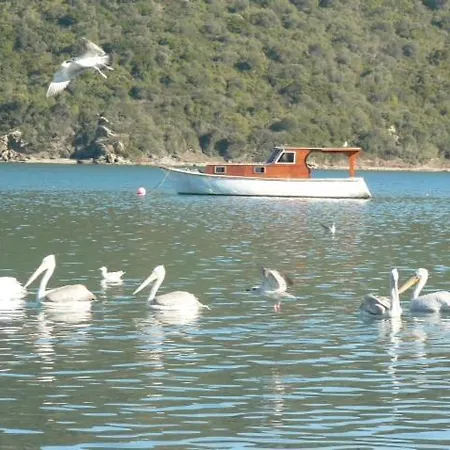 Apartmán Flamingo Country Club Houses